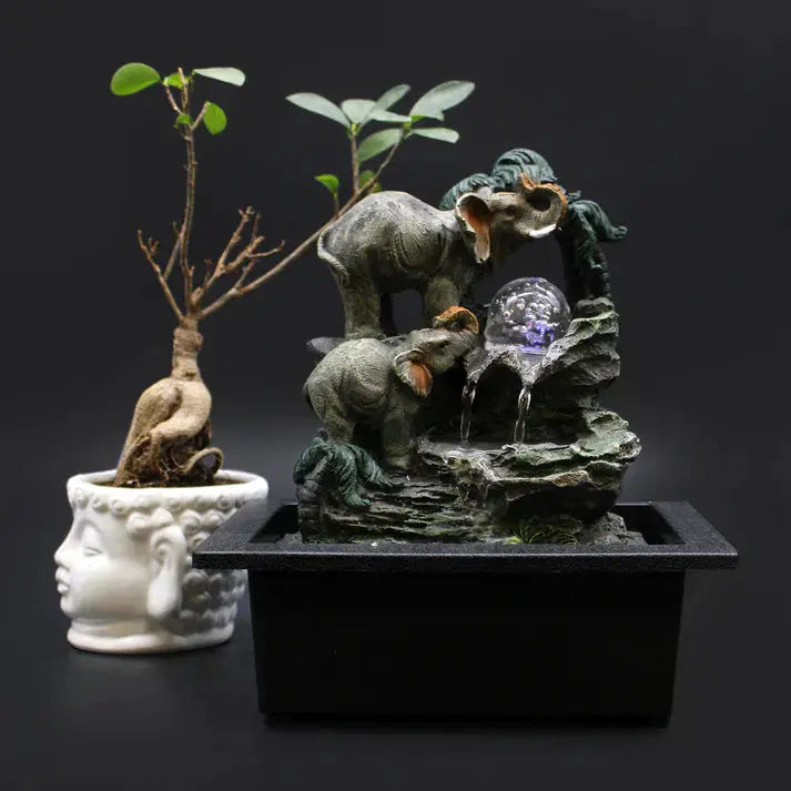Feng-Shui-Harmonize-a-Sua-Casa-e-Transforme-a-Sua-Vida Hoc Sensu
