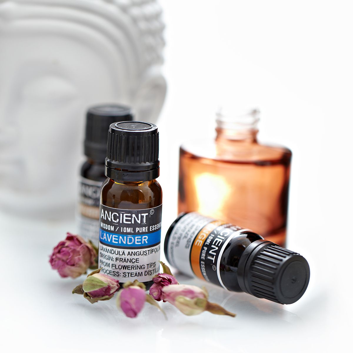 Óleo Essencial Árvore do Chá 10ml - Loja do Tigo