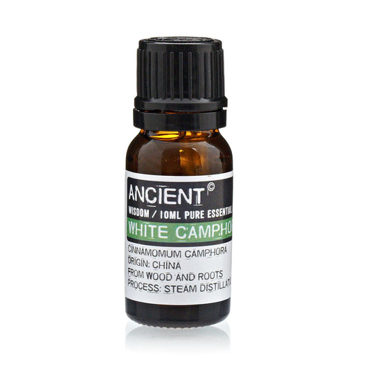 Óleo Essencial de Cânfora Branca 10ml - Hoc Sensu