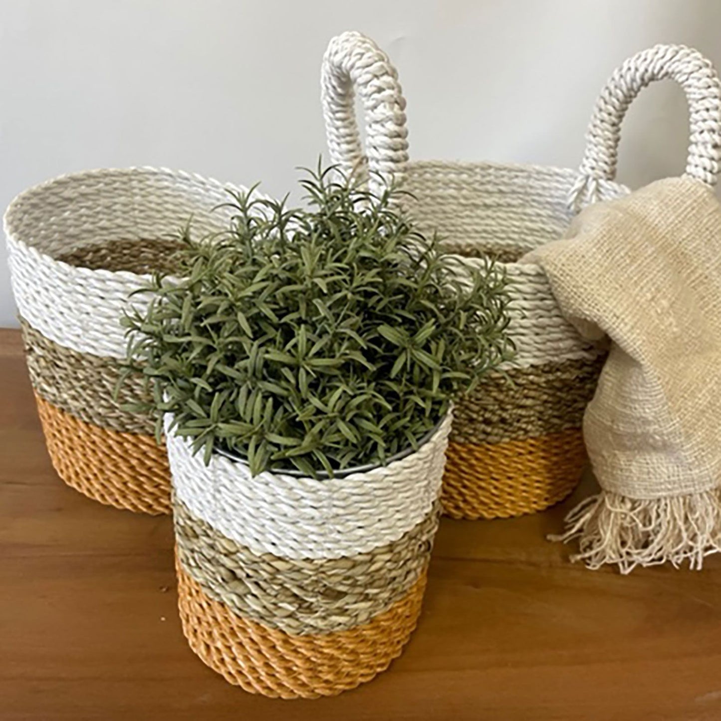 Conjunto 3 Cestas Algas Marinhas Laranja Natural Branco | Hoc Sensu