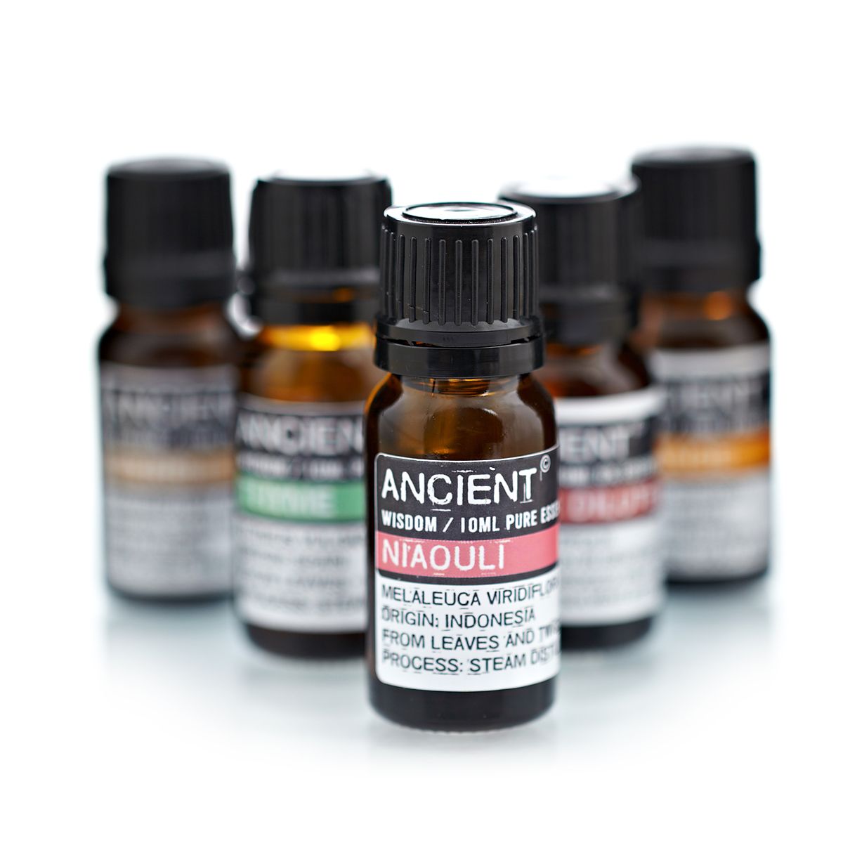 Óleo Essencial Niaouli 10ml - Hoc Sensu