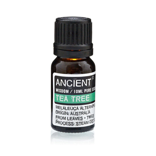 Óleo Essencial Árvore do Chá 10ml - Loja do Tigo