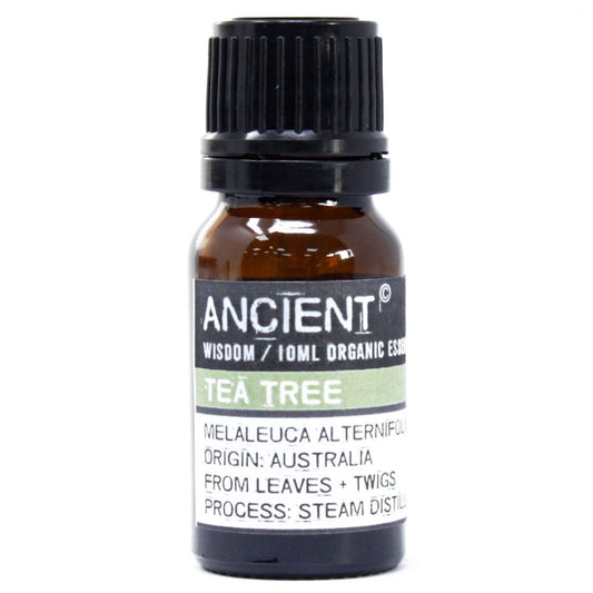 Óleo Essencial Orgânico Árvore do Chá 10ml - [hoc Sensu]