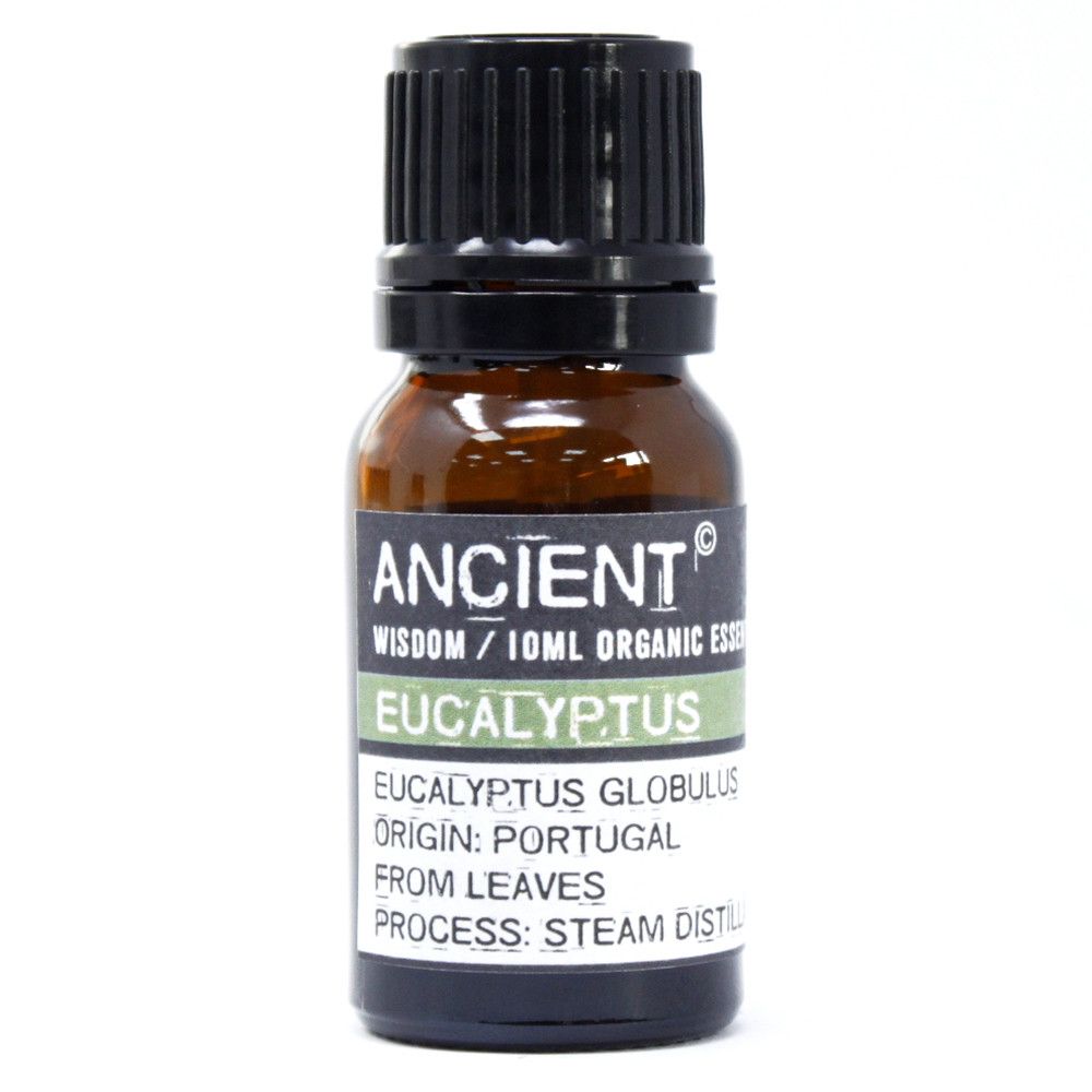 Óleo Essencial Orgânico Eucalipto 10ml - Hoc Sensu